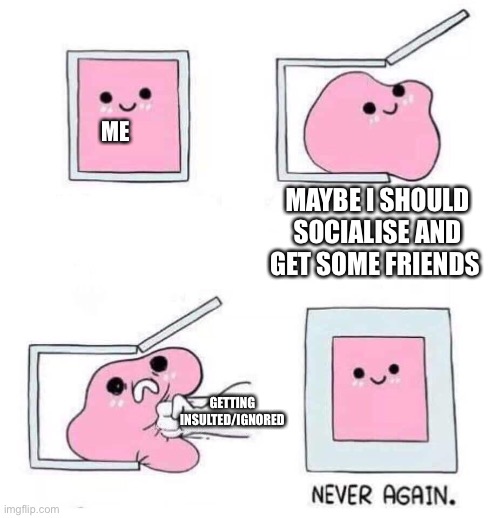 Never again | ME; MAYBE I SHOULD SOCIALISE AND GET SOME FRIENDS; GETTING INSULTED/IGNORED | image tagged in never again,memes | made w/ Imgflip meme maker