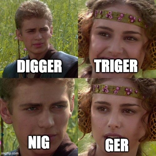 Anakin Padme 4 Panel | DIGGER; TRIGER; NIG; GER | image tagged in anakin padme 4 panel | made w/ Imgflip meme maker