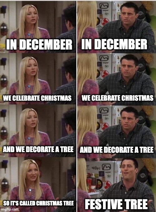 Festive tree | IN DECEMBER; IN DECEMBER; WE CELEBRATE CHRISTMAS; WE CELEBRATE CHRISTMAS; AND WE DECORATE A TREE; AND WE DECORATE A TREE; SO IT'S CALLED CHRISTMAS TREE; FESTIVE TREE | image tagged in phoebe joey | made w/ Imgflip meme maker