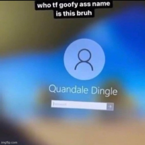 Quandale dingle | image tagged in quandale dingle,lol so funny | made w/ Imgflip meme maker