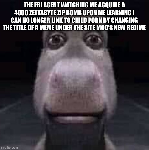 We have been living in an Orwellian society for way too long and I say we retaliate. Who’s with me? | THE FBI AGENT WATCHING ME ACQUIRE A 4000 ZETTABYTE ZIP BOMB UPON ME LEARNING I CAN NO LONGER LINK TO CHILD PORN BY CHANGING THE TITLE OF A MEME UNDER THE SITE MOD’S NEW REGIME | image tagged in donkey staring | made w/ Imgflip meme maker