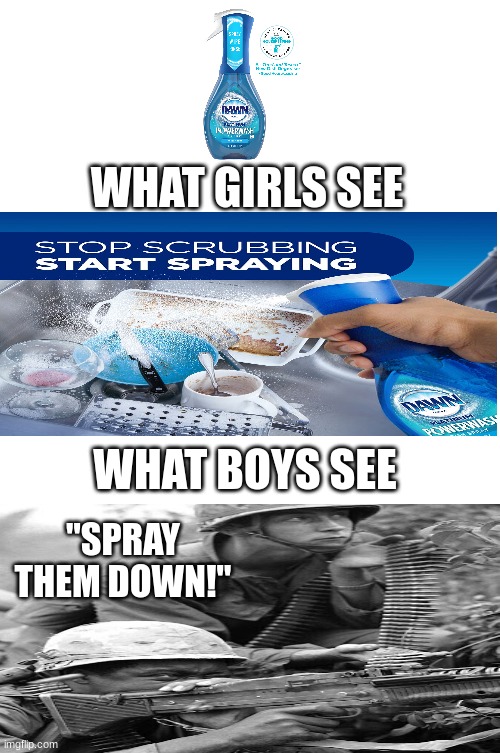 Washing dishes be like | WHAT GIRLS SEE; WHAT BOYS SEE; "SPRAY THEM DOWN!" | image tagged in memes,army,chores | made w/ Imgflip meme maker