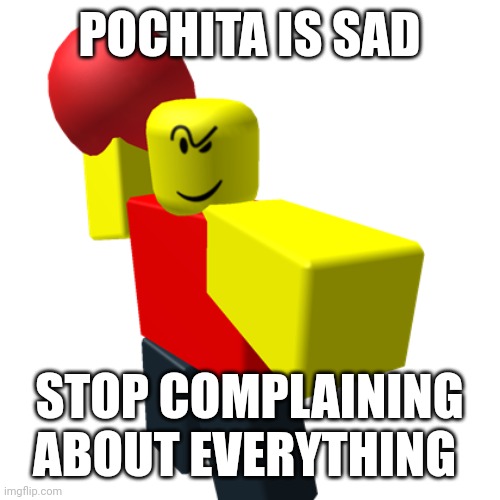 We don't wanna hear about you failing algebra, we wanna see the funny | POCHITA IS SAD; STOP COMPLAINING ABOUT EVERYTHING | image tagged in baller | made w/ Imgflip meme maker