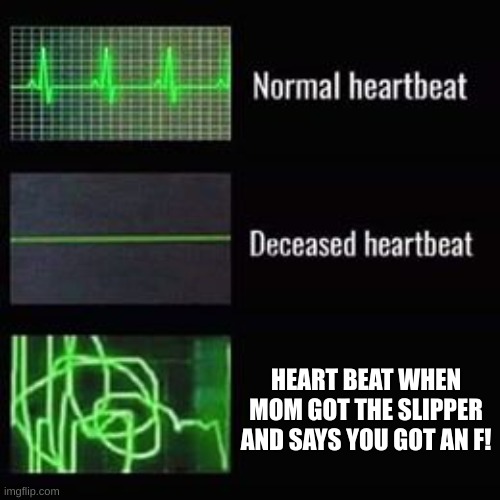 facts | HEART BEAT WHEN MOM GOT THE SLIPPER AND SAYS YOU GOT AN F! | image tagged in heartbeat rate | made w/ Imgflip meme maker
