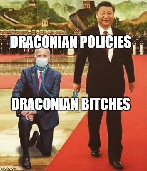 biden china | DRACONIAN POLICIES; DRACONIAN BITCHES | image tagged in biden china | made w/ Imgflip meme maker