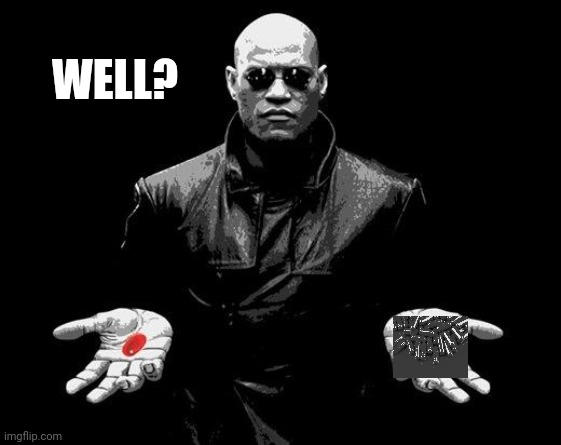 Matrix Morpheus Offer | WELL? | image tagged in matrix morpheus offer | made w/ Imgflip meme maker