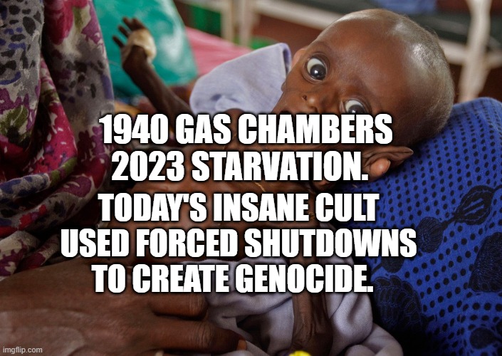 covid kid | 1940 GAS CHAMBERS 2023 STARVATION. TODAY'S INSANE CULT USED FORCED SHUTDOWNS TO CREATE GENOCIDE. | image tagged in covid kid | made w/ Imgflip meme maker