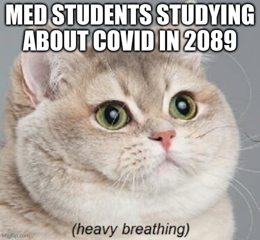 Heavy Breathing Cat | MED STUDENTS STUDYING ABOUT COVID IN 2089 | image tagged in memes,heavy breathing cat | made w/ Imgflip meme maker