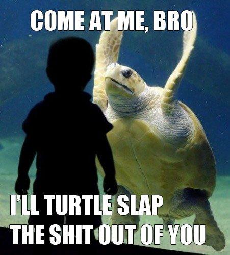 image tagged in funny