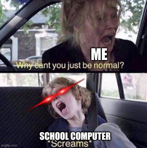 yes | ME; SCHOOL COMPUTER | image tagged in why can't you just be normal | made w/ Imgflip meme maker