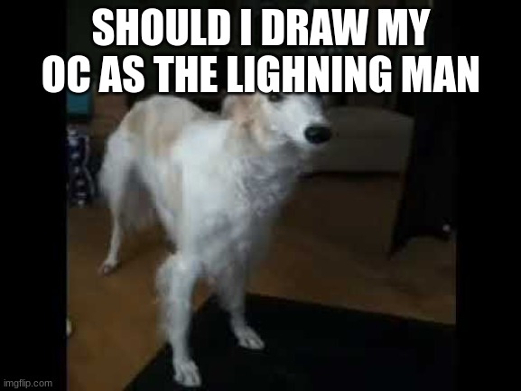 Low quality borzoi dog | SHOULD I DRAW MY OC AS THE LIGHNING MAN | image tagged in low quality borzoi dog | made w/ Imgflip meme maker