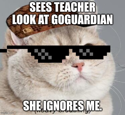 goguardian be like | SEES TEACHER LOOK AT GOGUARDIAN; SHE IGNORES ME. | image tagged in memes,heavy breathing cat | made w/ Imgflip meme maker