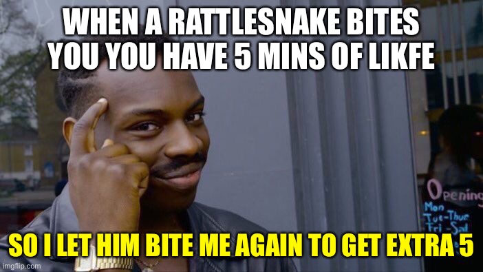 Roll Safe Think About It | WHEN A RATTLESNAKE BITES YOU YOU HAVE 5 MINS OF LIKFE; SO I LET HIM BITE ME AGAIN TO GET EXTRA 5 | image tagged in memes,roll safe think about it | made w/ Imgflip meme maker