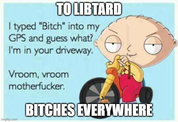 Libtard Bitches | TO LIBTARD; BITCHES EVERYWHERE | image tagged in libtard bitches | made w/ Imgflip meme maker