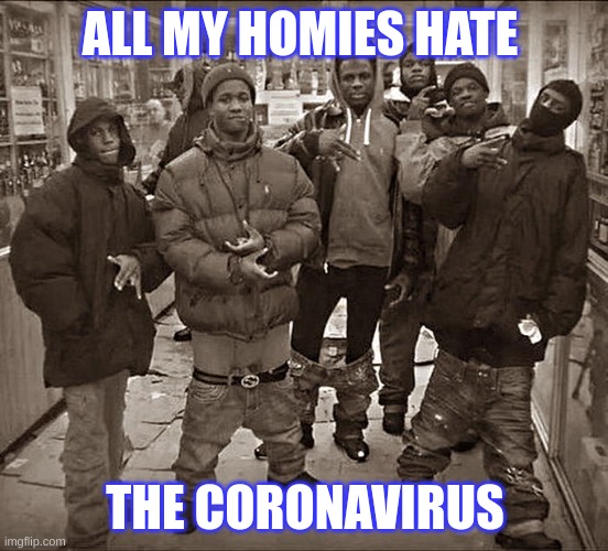 All My Homies Hate | ALL MY HOMIES HATE; THE CORONAVIRUS | image tagged in all my homies hate | made w/ Imgflip meme maker