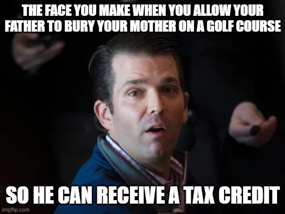 Don Jr | THE FACE YOU MAKE WHEN YOU ALLOW YOUR FATHER TO BURY YOUR MOTHER ON A GOLF COURSE; SO HE CAN RECEIVE A TAX CREDIT | image tagged in don jr | made w/ Imgflip meme maker