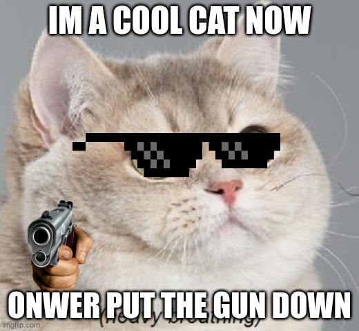 Heavy Breathing Cat | IM A COOL CAT NOW; ONWER PUT THE GUN DOWN | image tagged in memes,heavy breathing cat | made w/ Imgflip meme maker