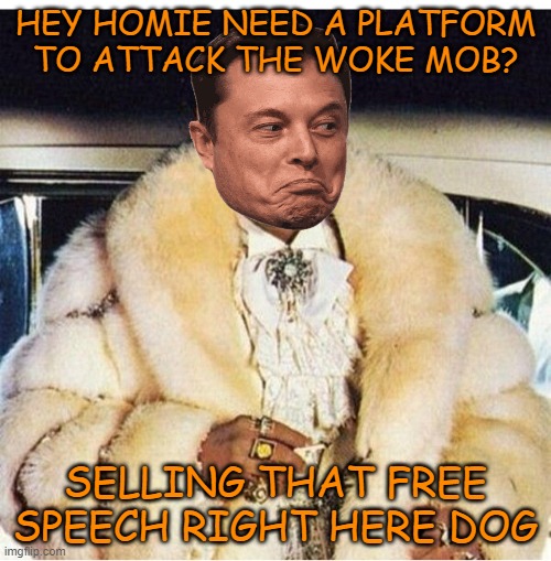 How to change hate speech into free speech for fun and profit | HEY HOMIE NEED A PLATFORM TO ATTACK THE WOKE MOB? SELLING THAT FREE SPEECH RIGHT HERE DOG | image tagged in elon musk,donald trump,maga,hate speech,political meme | made w/ Imgflip meme maker