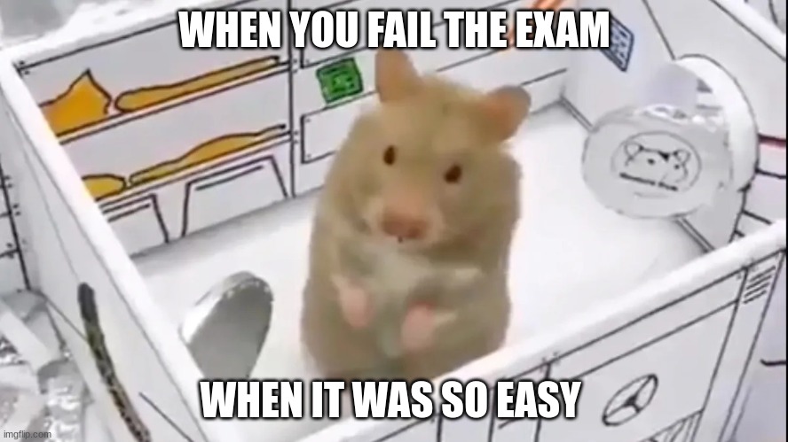 Hamper In rocket | WHEN YOU FAIL THE EXAM; WHEN IT WAS SO EASY | image tagged in hamper in rocket | made w/ Imgflip meme maker