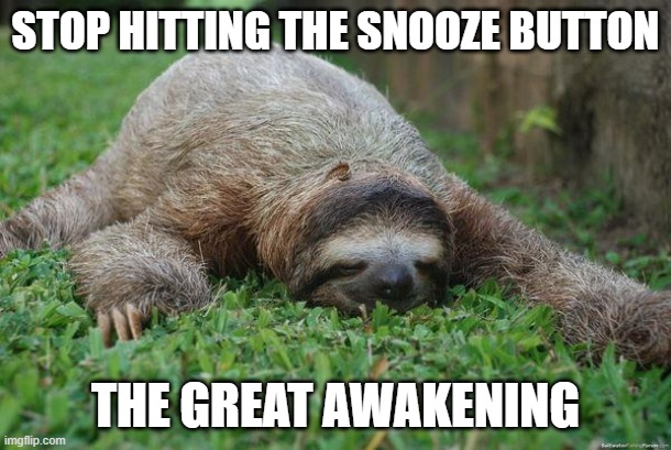 Sleeping sloth | STOP HITTING THE SNOOZE BUTTON; THE GREAT AWAKENING | image tagged in sleeping sloth | made w/ Imgflip meme maker