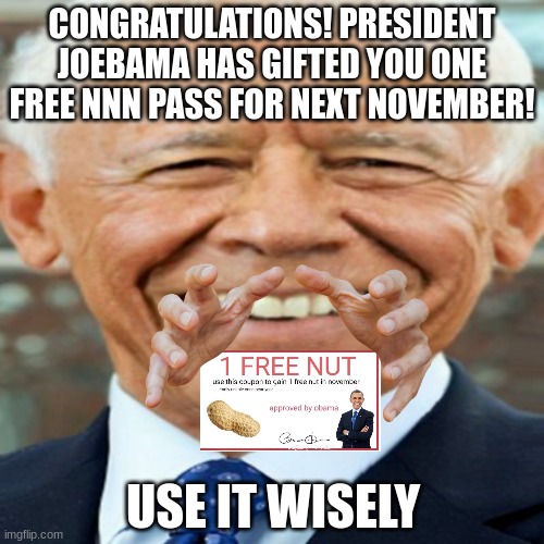 OMG THANKS JOEBAMA | CONGRATULATIONS! PRESIDENT JOEBAMA HAS GIFTED YOU ONE FREE NNN PASS FOR NEXT NOVEMBER! USE IT WISELY | image tagged in nnn | made w/ Imgflip meme maker