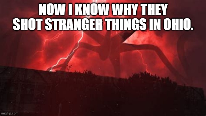 random Ohio meme |  NOW I KNOW WHY THEY SHOT STRANGER THINGS IN OHIO. | image tagged in ohio,funny,stranger things | made w/ Imgflip meme maker