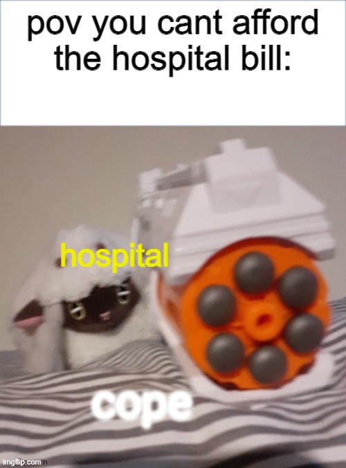 usa sucks | pov you cant afford the hospital bill:; hospital | image tagged in wooloo cope,meme | made w/ Imgflip meme maker