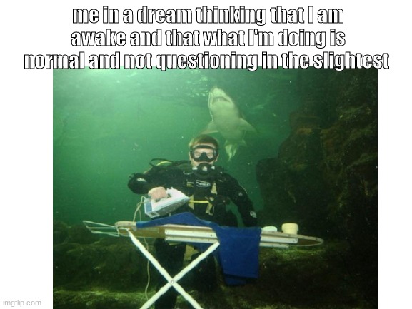 dream meme | me in a dream thinking that I am awake and that what I'm doing is normal and not questioning in the slightest | image tagged in dreams,memes | made w/ Imgflip meme maker