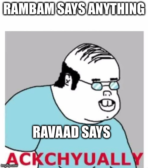 Ackchyually | RAMBAM SAYS ANYTHING; RAVAAD SAYS | image tagged in ackchyually | made w/ Imgflip meme maker