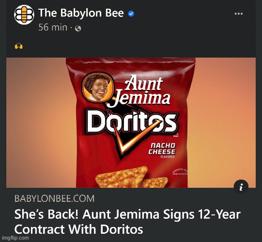 They can't keep her down! | image tagged in the babylon bee,funny,satire,sjws,doritos | made w/ Imgflip meme maker