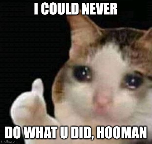 sad thumbs up cat | I COULD NEVER DO WHAT U DID, HOOMAN | image tagged in sad thumbs up cat | made w/ Imgflip meme maker