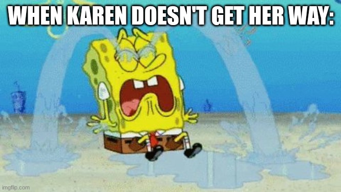 Karen Meme | WHEN KAREN DOESN'T GET HER WAY: | image tagged in spongebob crying,mega karen | made w/ Imgflip meme maker