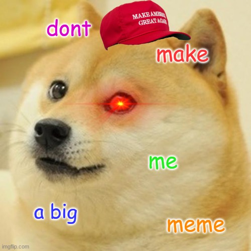 Doge | dont; make; me; a big; meme | image tagged in memes,doge | made w/ Imgflip meme maker