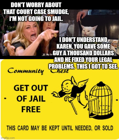  DON'T WORRY ABOUT THAT COURT CASE SMUDGE, I'M NOT GOING TO JAIL. I DON'T UNDERSTAND KAREN, YOU GAVE SOME GUY A THOUSAND DOLLARS AND HE FIXED YOUR LEGAL PROBLEMS.  THIS I GOT TO SEE. | image tagged in smudge the cat | made w/ Imgflip meme maker