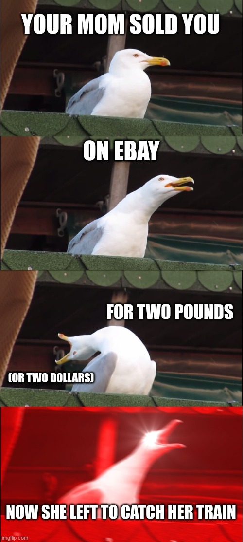 YOUR MOM SOLD YOU | YOUR MOM SOLD YOU; ON EBAY; FOR TWO POUNDS; (OR TWO DOLLARS); NOW SHE LEFT TO CATCH HER TRAIN | image tagged in memes,inhaling seagull | made w/ Imgflip meme maker