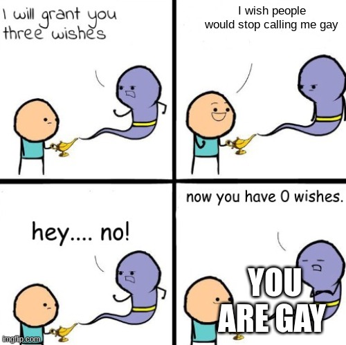 ooffffffff | I wish people would stop calling me gay; YOU ARE GAY | image tagged in 3 wishes alternate | made w/ Imgflip meme maker