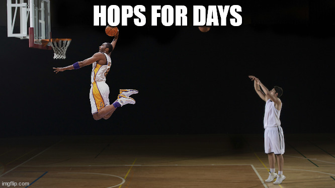 Basketball shot | HOPS FOR DAYS | image tagged in basketball shot | made w/ Imgflip meme maker