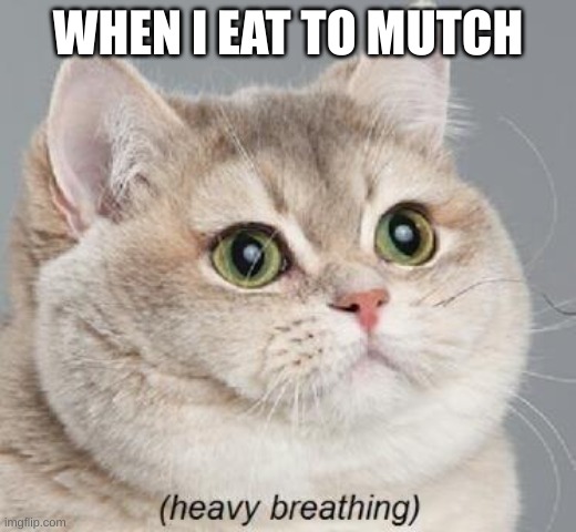 when you see someone who ate to much | WHEN I EAT TO MUTCH | image tagged in memes,heavy breathing cat | made w/ Imgflip meme maker