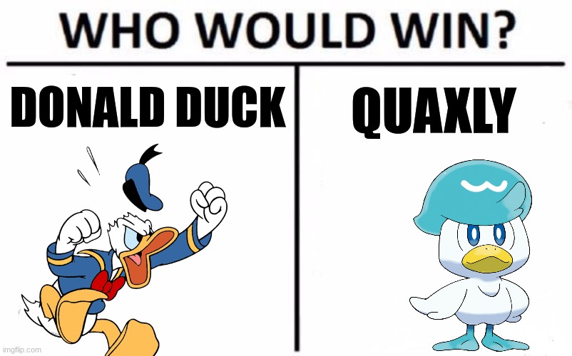 ... | DONALD DUCK; QUAXLY | image tagged in memes,who would win | made w/ Imgflip meme maker