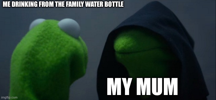 meme | ME DRINKING FROM THE FAMILY WATER BOTTLE; MY MUM | image tagged in memes,evil kermit | made w/ Imgflip meme maker