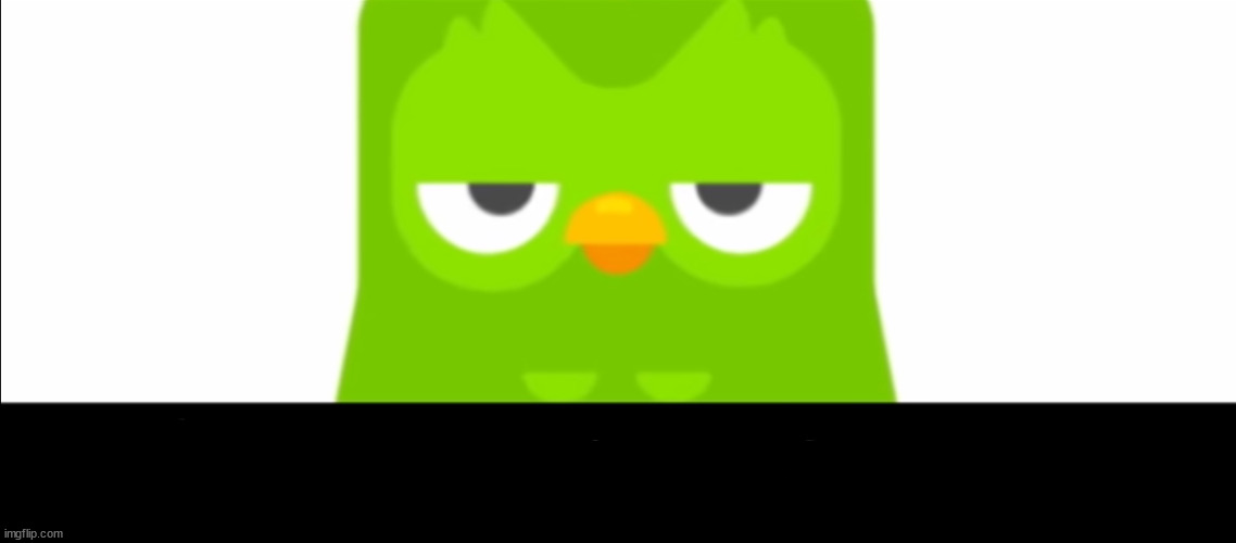 Duolingo was unimpressed | image tagged in duolingo was unimpressed | made w/ Imgflip meme maker