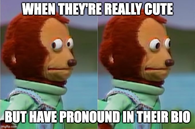 Awkward Monkey | WHEN THEY'RE REALLY CUTE; BUT HAVE PRONOUND IN THEIR BIO | image tagged in awkward monkey | made w/ Imgflip meme maker