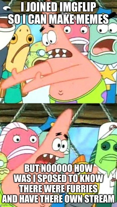 Put It Somewhere Else Patrick Meme | I JOINED IMGFLIP SO I CAN MAKE MEMES BUT NOOOOO HOW WAS I SPOSED TO KNOW THERE WERE FURRIES AND HAVE THERE OWN STREAM | image tagged in memes,put it somewhere else patrick | made w/ Imgflip meme maker