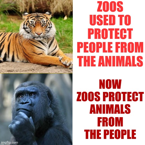 Because People Are Animals |  ZOOS USED TO PROTECT PEOPLE FROM THE ANIMALS; NOW ZOOS PROTECT ANIMALS FROM THE PEOPLE | image tagged in memes,drake hotline bling,what the hell is wrong with you people,animal abuse,animal rights,people suck | made w/ Imgflip meme maker