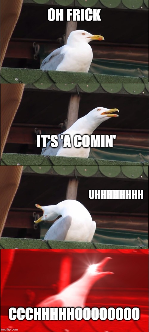 the sneeze | OH FRICK; IT'S 'A COMIN'; UHHHHHHHH; CCCHHHHHOOOOOOOO | image tagged in memes,inhaling seagull | made w/ Imgflip meme maker