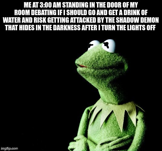 contemplation |  ME AT 3:00 AM STANDING IN THE DOOR OF MY ROOM DEBATING IF I SHOULD GO AND GET A DRINK OF WATER AND RISK GETTING ATTACKED BY THE SHADOW DEMON THAT HIDES IN THE DARKNESS AFTER I TURN THE LIGHTS OFF | image tagged in contemplative kermit,memes | made w/ Imgflip meme maker