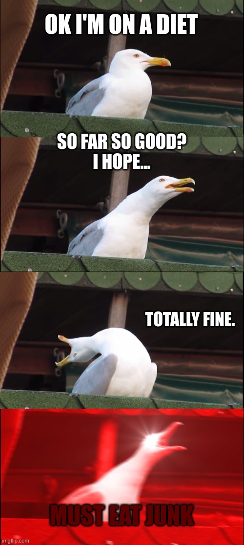 Everyone on a diet be like | OK I'M ON A DIET; SO FAR SO GOOD?
I HOPE... TOTALLY FINE. MUST EAT JUNK | image tagged in memes,inhaling seagull | made w/ Imgflip meme maker