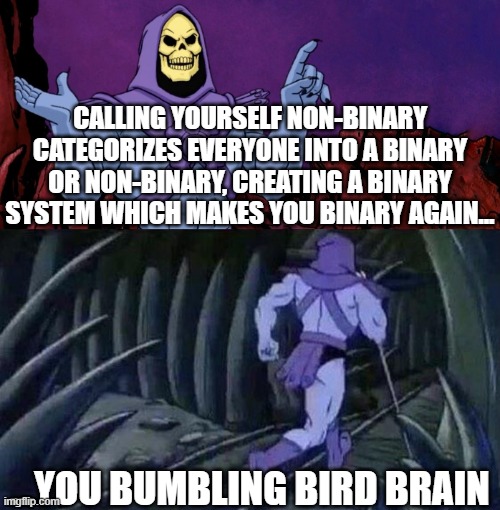 Skeleton on Binaries | CALLING YOURSELF NON-BINARY CATEGORIZES EVERYONE INTO A BINARY OR NON-BINARY, CREATING A BINARY SYSTEM WHICH MAKES YOU BINARY AGAIN... ...YOU BUMBLING BIRD BRAIN | image tagged in he man skeleton advices,1980s,cartoons,funny memes,non binary | made w/ Imgflip meme maker