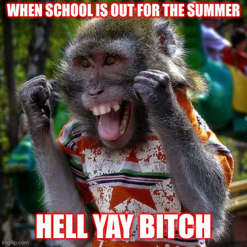 Excited Monkey | WHEN SCHOOL IS OUT FOR THE SUMMER; HELL YAY BITCH | image tagged in excited monkey | made w/ Imgflip meme maker