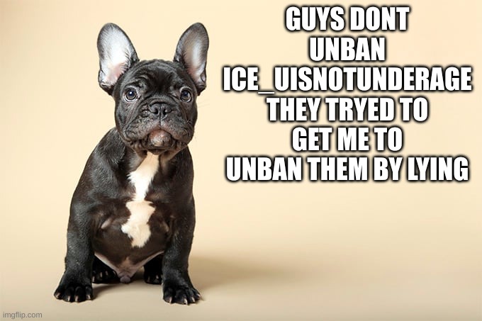 KSDawg | GUYS DONT UNBAN ICE_UISNOTUNDERAGE THEY TRYED TO GET ME TO UNBAN THEM BY LYING | image tagged in ksdawg | made w/ Imgflip meme maker